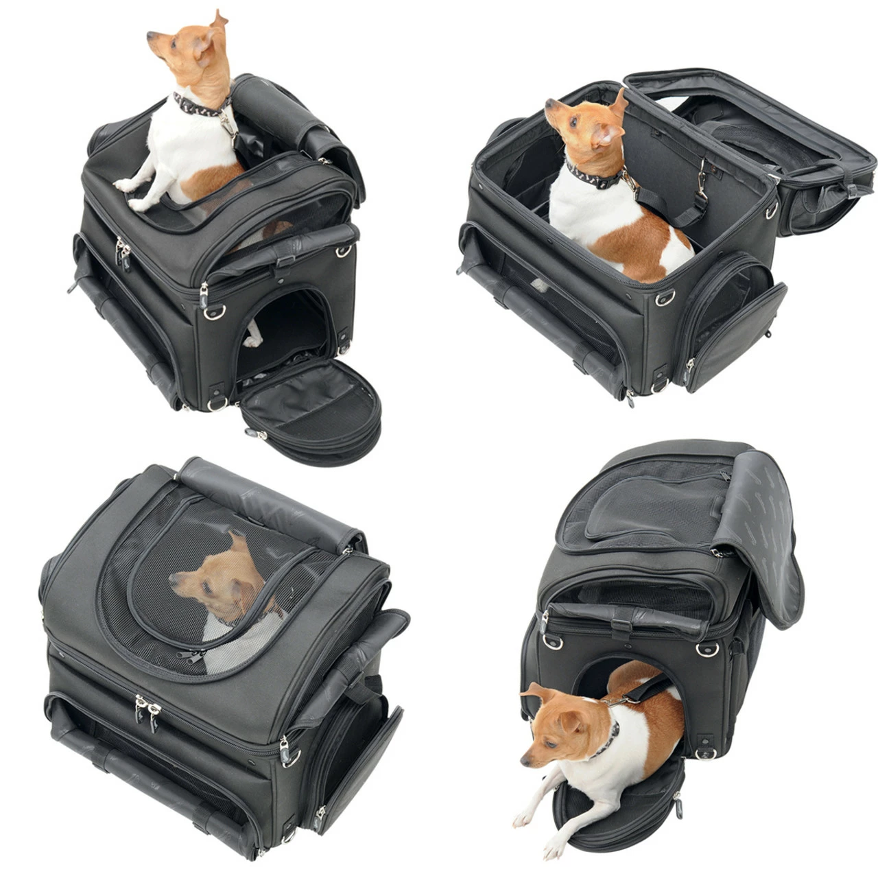 Saddlemen Pet Voyager - Image 3